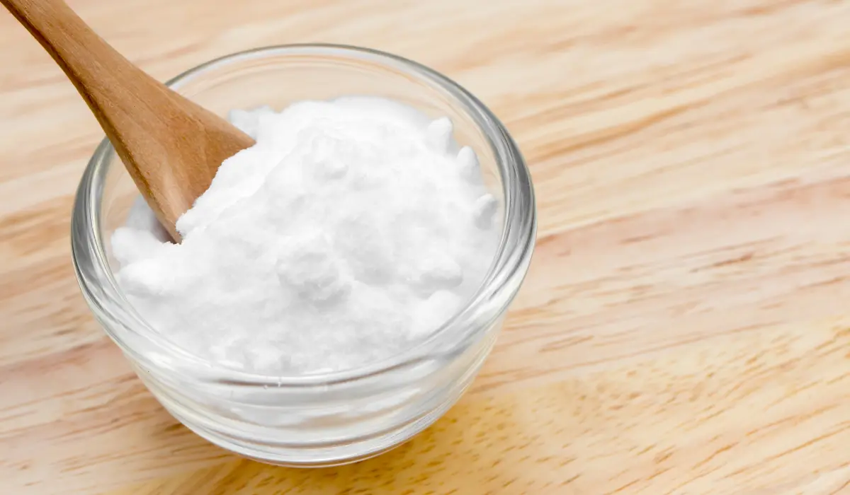 bicabornate de soude dans un petit bol