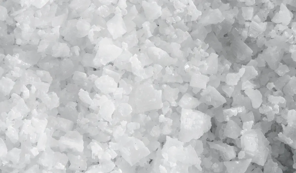 Du gros sel