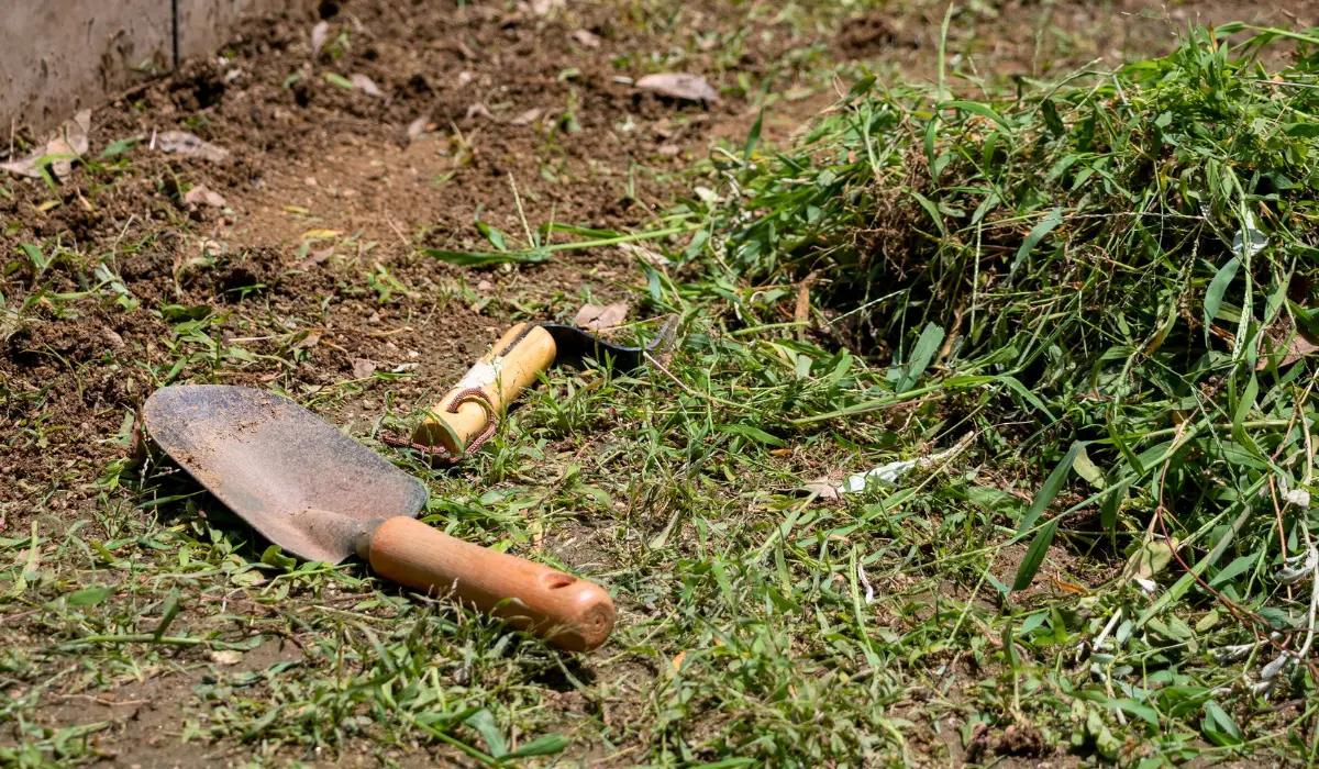 Mauvaises herbes et petite pelle de jardin