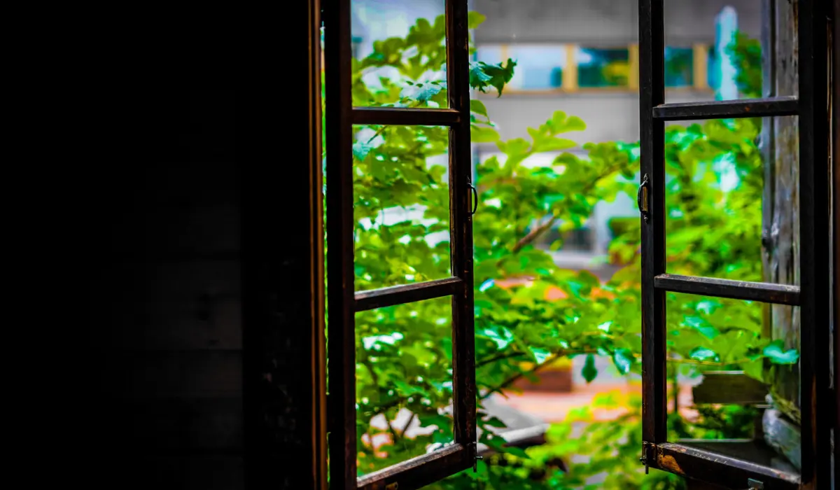 Une fenêtre ouverte sur un jardin