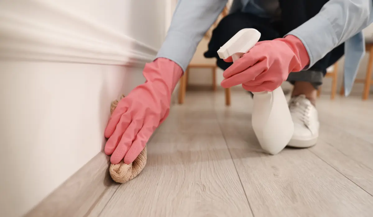 produits ménagers maison nettoyant une phlinte