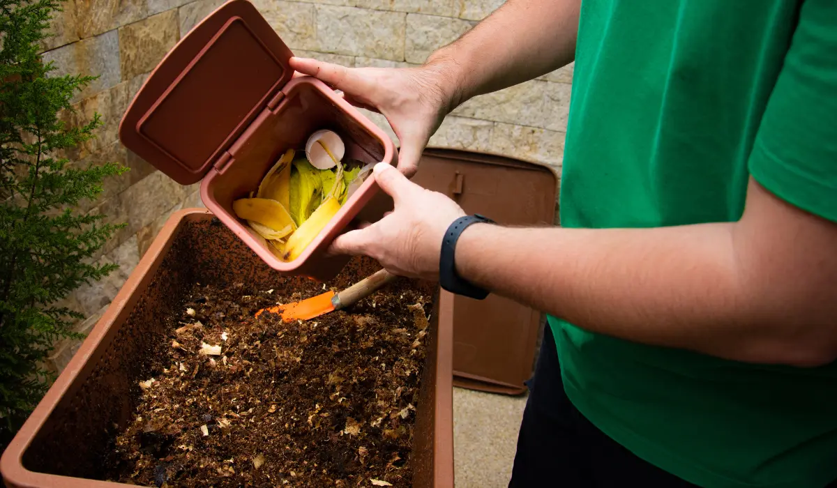 Homme en train de s'occuper de son compost, un engrais tomate naturel