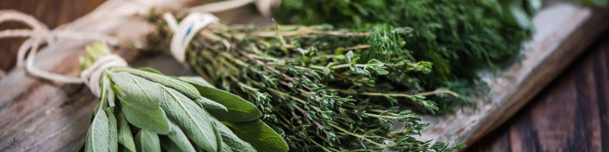 trois petits plans d'herbes aromatiques