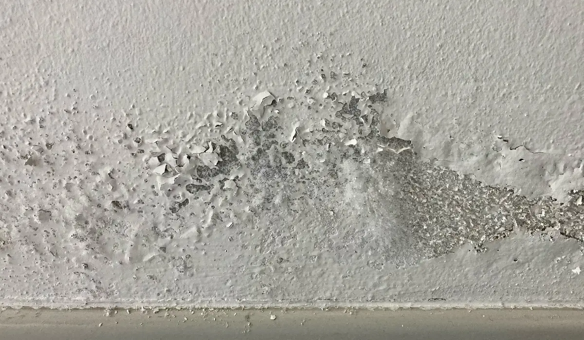 Humidité dans un mur