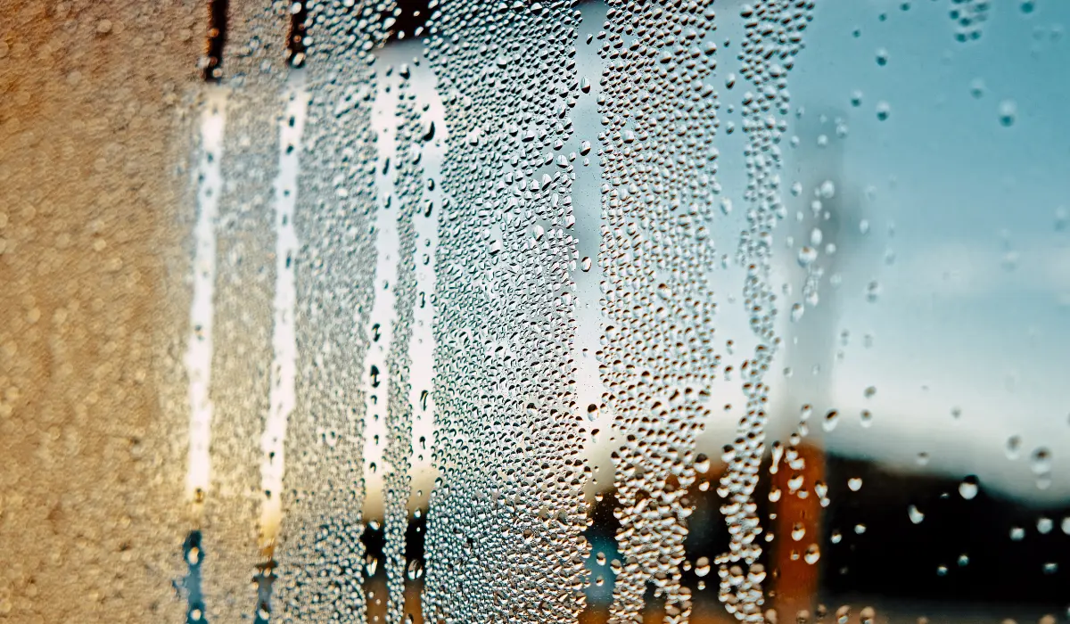 Humidité sur un velux