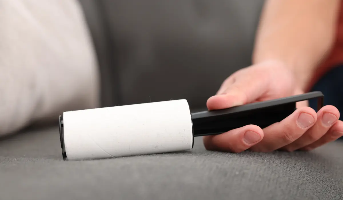 Jeune homme passant une brosse attrape-poils sur un capané