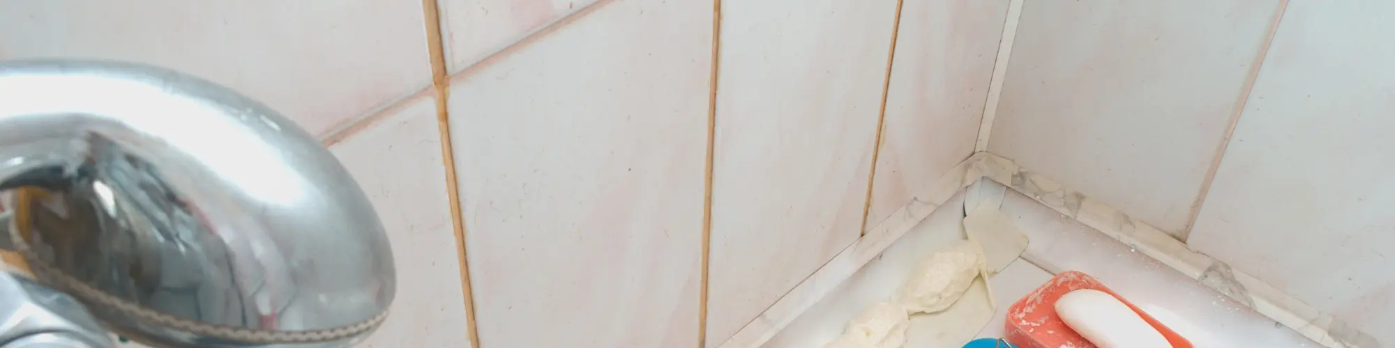 joints de carrelage d'une baignoire
