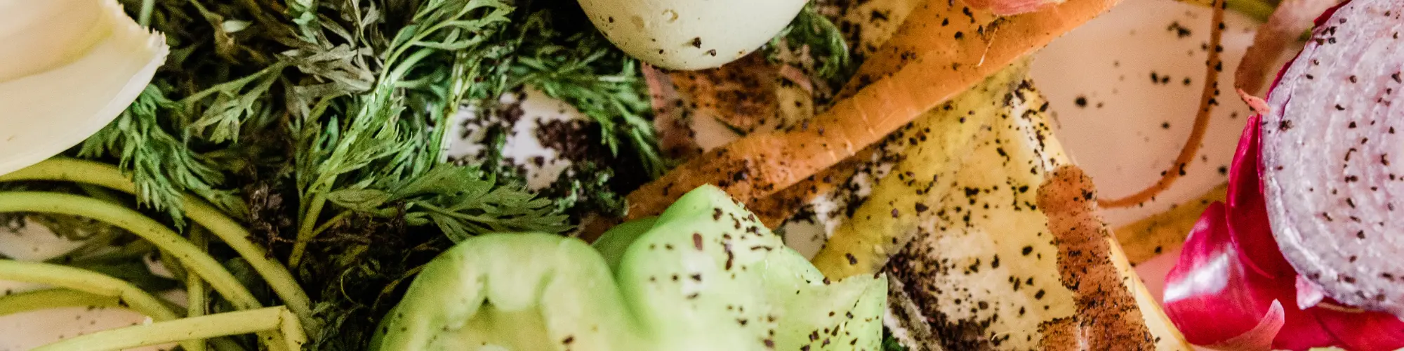 Des légumes pour des recettes anti gaspillage faciles