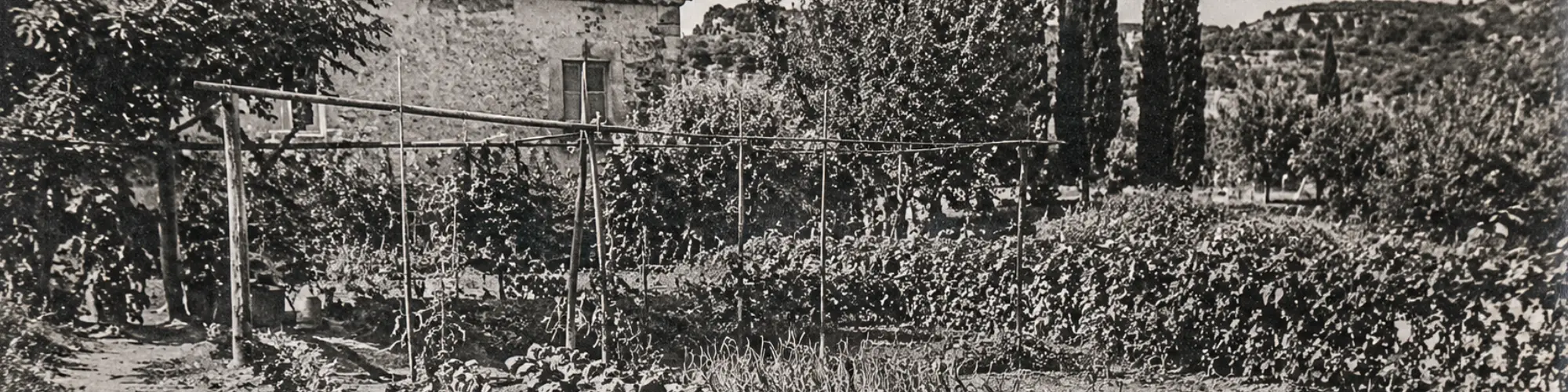 Un potager en Provence de l'ancien temps