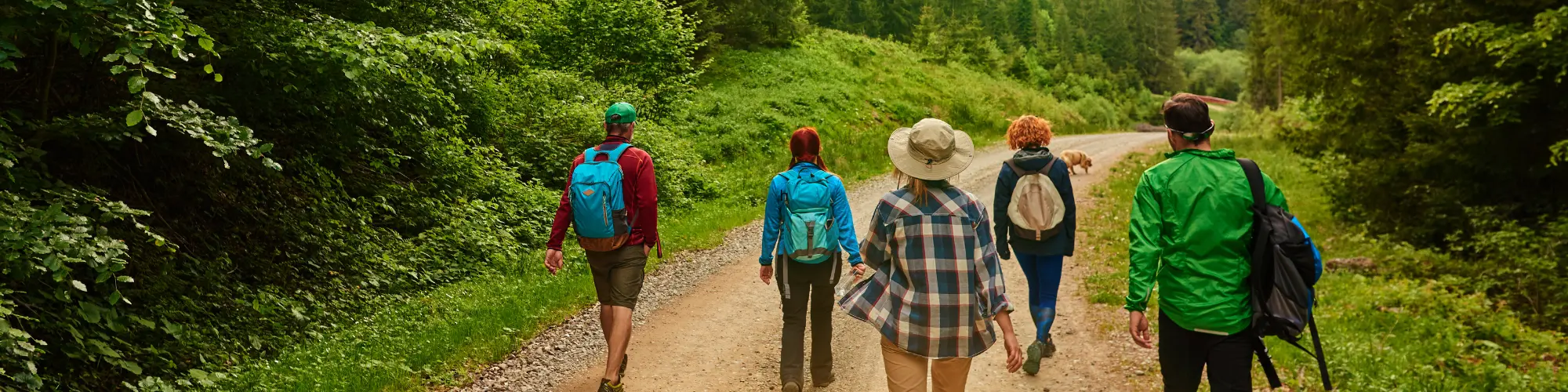 promenade quotidienne en famille