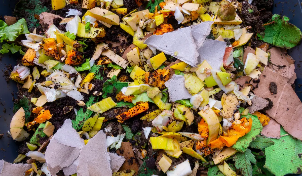 Carton et plastique dans du compost