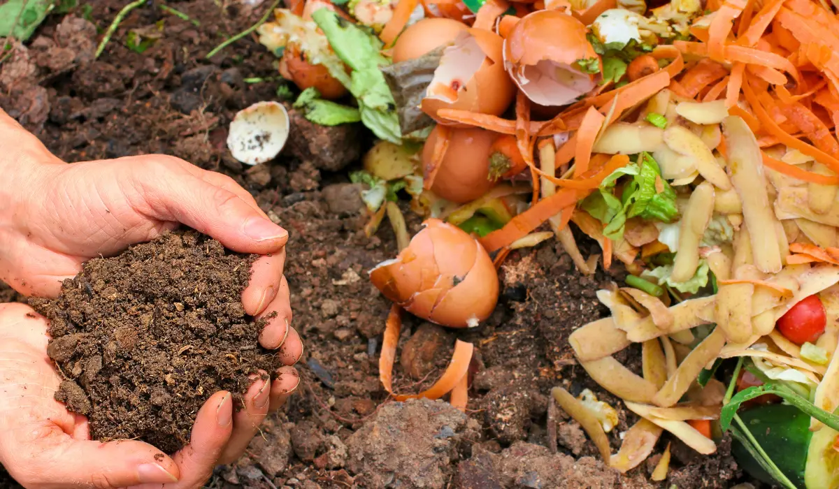 Terre et compost